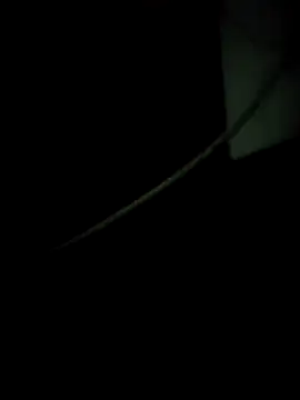 enoc369 online show from 12-04-25, 08:12