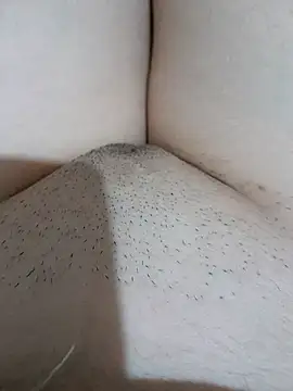 yakot7 online show from 09-26-25, 12:58