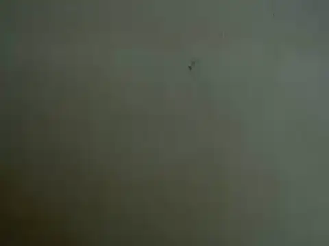 Snapshot of mayra89 chatting on 03-29-26, 08:25 mayra89 online show from 03-29-26, 08:25