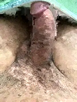 Iliase online show from 11-15-25, 09:17