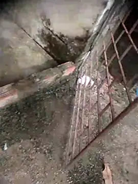 viviksmel online show from 04-19-26, 06:10