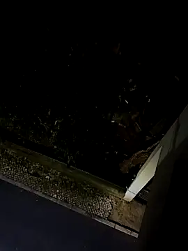 Snapshot of BUTTerflyTODAY chatting on 04-22-26, 01:52 BUTTerflyTODAY online show from 04-22-26, 01:52