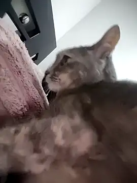 mialorents online show from 11-23-25, 06:52