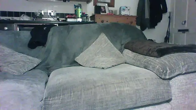 Snapshot of Grower_and_shower chatting on 11-30-25, 11:42 Grower and shower online show from 11-30-25, 11:42