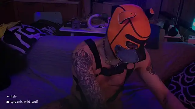 danix wild wolf online show from 03-15-26, 10:49