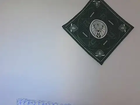 Snapshot of samevansx_ chatting on 12-13-25, 07:53 samevansx online show from 12-13-25, 07:53