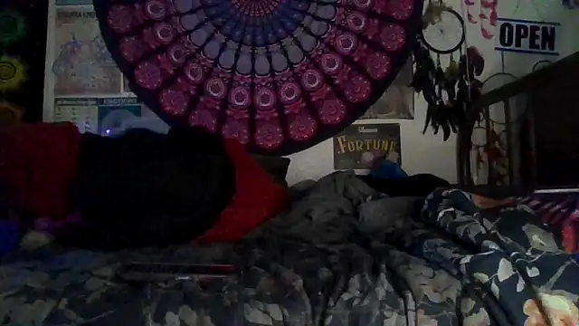 GardeniaFields online show from 02-09-26, 08:40