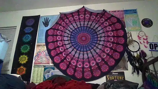 GardeniaFields online show from 03-20-26, 09:36