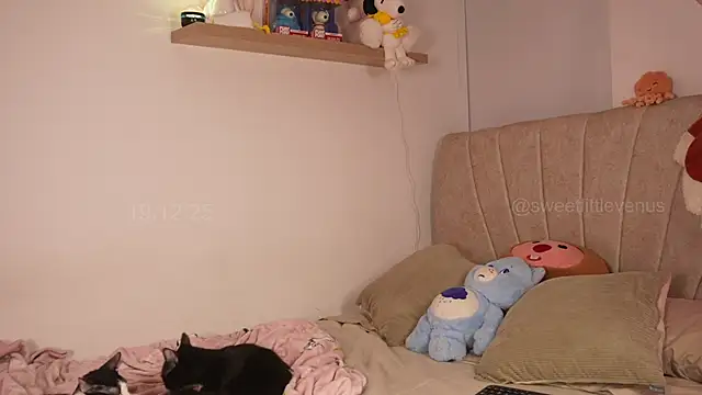 sweetlittlevenus online show from 12-19-25, 10:06