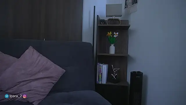 Snapshot of Te_para_2 chatting on 05-01-26, 04:33 Te para 2 online show from 05-01-26, 04:33