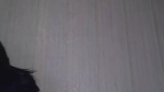  Black-Panther  online show from 10-20-25, 08:26