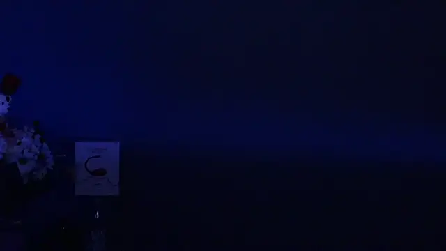 Amesthyst destiny online show from 03-22-25, 03:20