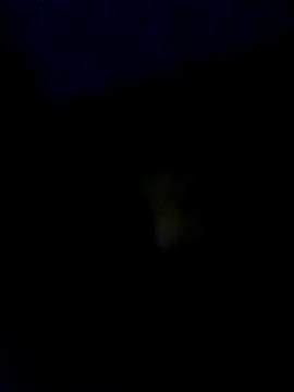 baby25cm online show from 02-13-26, 06:15