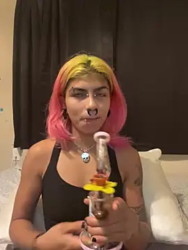 Harley cams online show from 09-10-25, 12:43