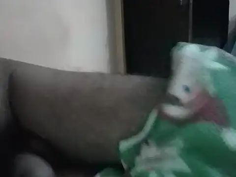 Snapshot of United95X chatting on 09-12-25, 01:55 United95X online show from 09-12-25, 01:55