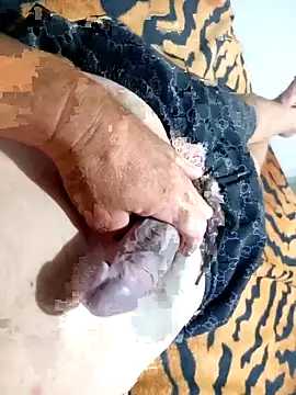 Dglo0000 online show from 11-30-25, 08:51