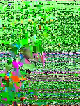 HenriquePhn online show from 02-06-26, 03:00