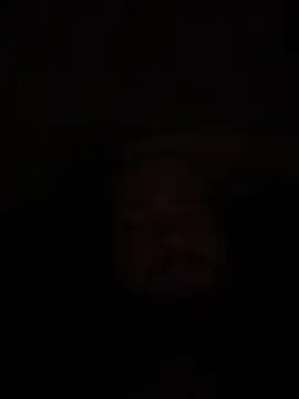Snapshot of Bear2323 chatting on 05-20-26, 04:07 Bear2323 online show from 05-20-26, 04:07