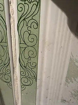 Snapshot of dilu98 chatting on 03-18-25, 01:42 dilu98 online show from 03-18-25, 01:42