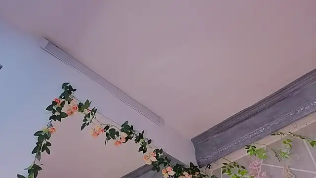 MilleyJones online show from 12-20-25, 08:16