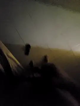 beto juby777 online show from 11-04-25, 10:42