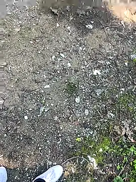 cihan 4141 online show from 10-20-25, 08:59