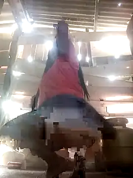 srtsara online show from 04-02-26, 10:46