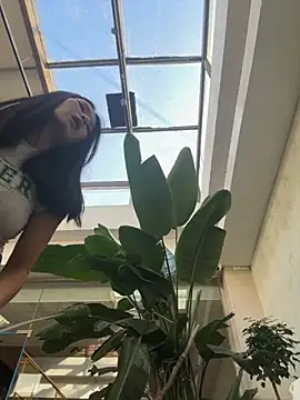 Ninazhang online show from 11-11-25, 01:38