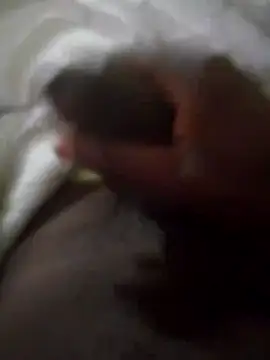 92donis online show from 09-30-25, 03:55