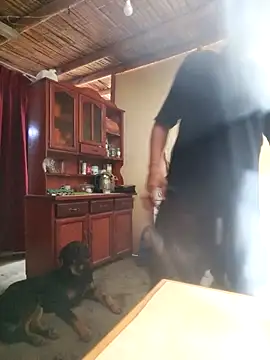 LecheDeSoya666 online show from 12-04-25, 07:55