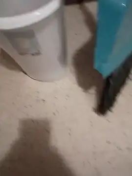 Crossedsissy online show from 03-10-26, 08:58