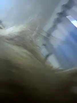 Snapshot of sophiemonroevip chatting on 04-06-26, 12:17 sophiemonroevip online show from 04-06-26, 12:17