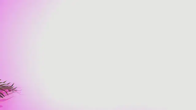 Lana ortega online show from 07-05-26, 04:52