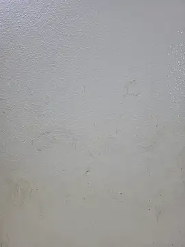 titooritax online show from 10-16-25, 09:49