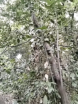 KalendaXL online show from 04-05-26, 04:15