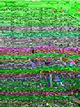 Snapshot of kamo012000 chatting on 06-19-26, 10:08 kamo012000 online show from 06-19-26, 10:08