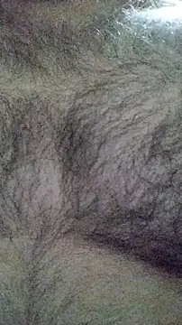 LeoMaduroSP online show from 01-16-26, 07:45