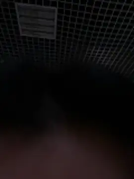 Liza Will online show from 02-20-26, 09:00