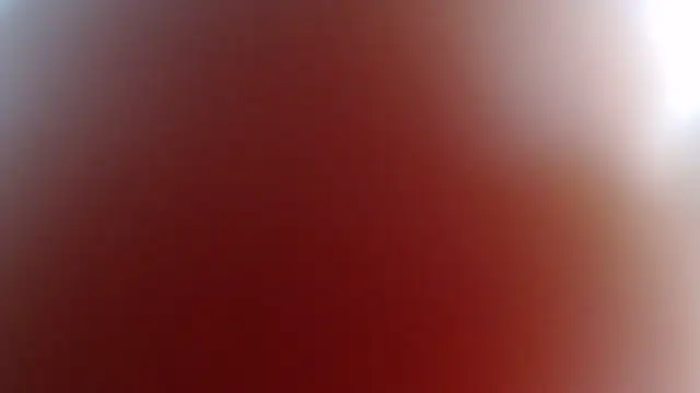 DinaDIRTY online show from 12-11-24, 11:54