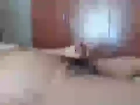 Culazodeantonellarocuzzo online show from 02-26-26, 03:44