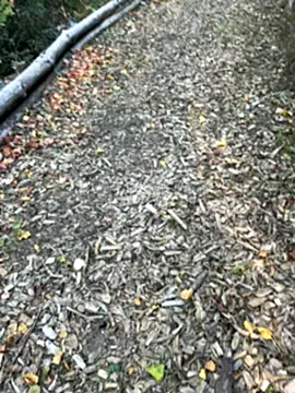 Mlkrrp online show from 10-10-25, 04:28