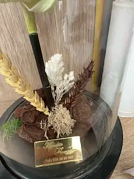 Mrdim26 online show from 10-11-25, 12:58