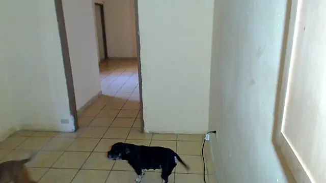 BlondZilla online show from 02-01-26, 04:16