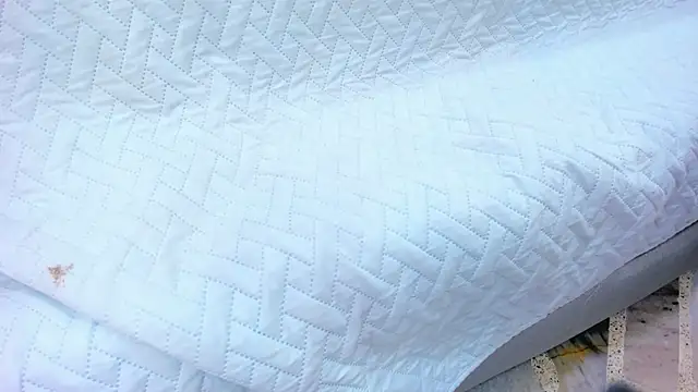 crystal sm online show from 02-13-26, 03:13