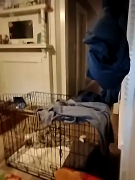 Snapshot of hugenicecock7979 chatting on 10-02-25, 11:34 hugenicecock7979 online show from 10-02-25, 11:34