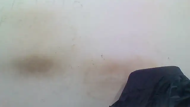 sasatimido online show from 12-03-25, 01:31