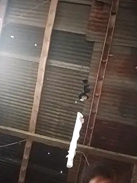 Snapshot of Davir2001 chatting on 03-01-26, 11:56 Davir2001 online show from 03-01-26, 11:56