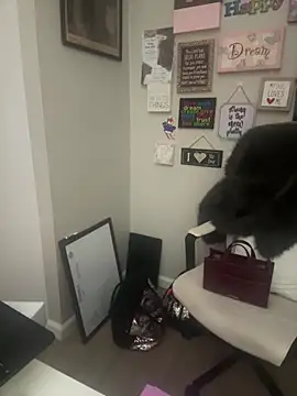 Snapshot of Juicystorm chatting on 02-11-26, 01:10 Juicystorm online show from 02-11-26, 01:10