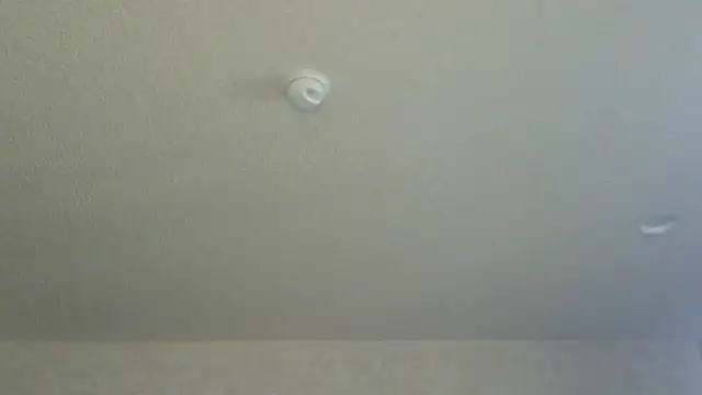 Flossee online show from 04-11-26, 12:15