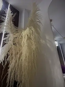 Anita-vega online show from 12-19-25, 09:11